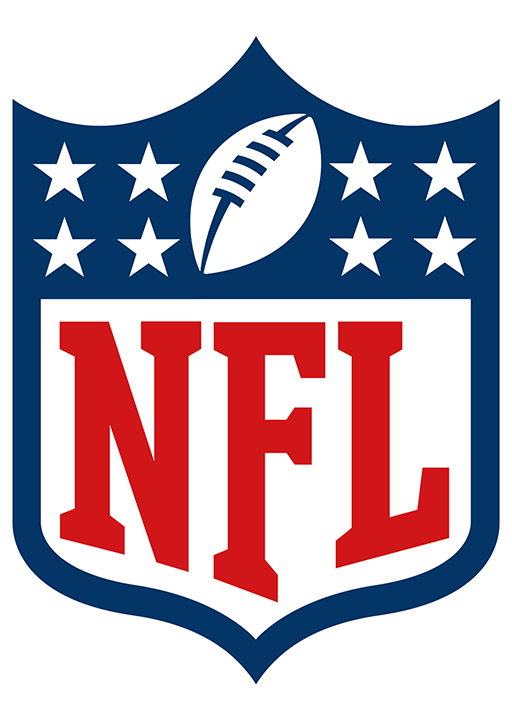 NFL 19 logo