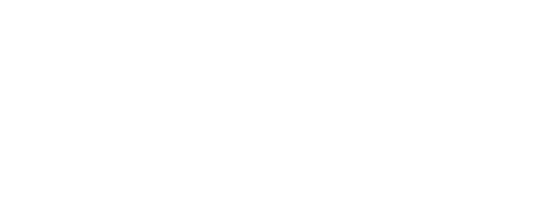 Fight Network USA logo
