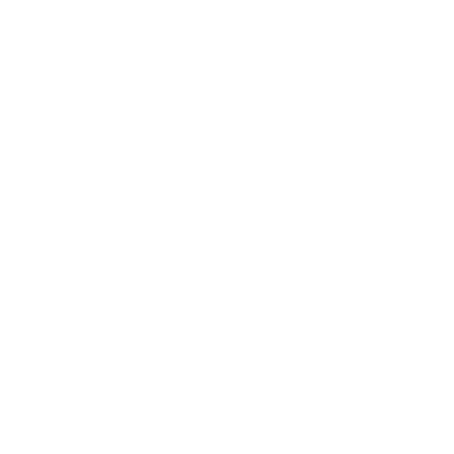 TNT WEB logo