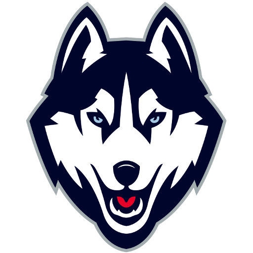 Connecticut badge