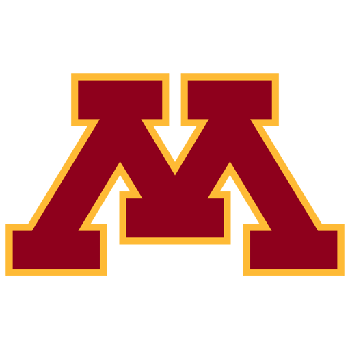 Minnesota badge