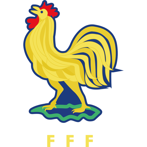 France U17 badge