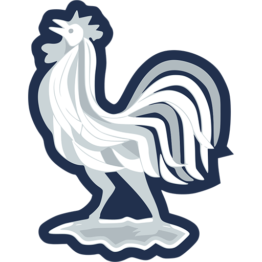 France badge