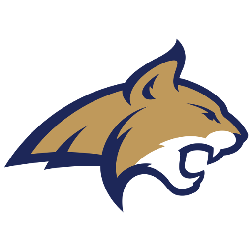 Montana State badge