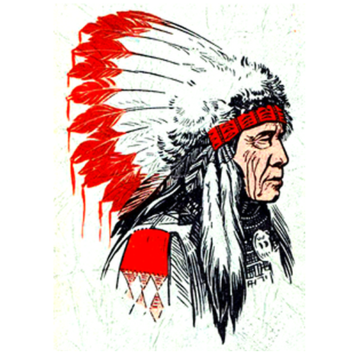 Anderson (SC) badge