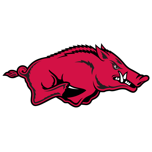 Arkansas badge