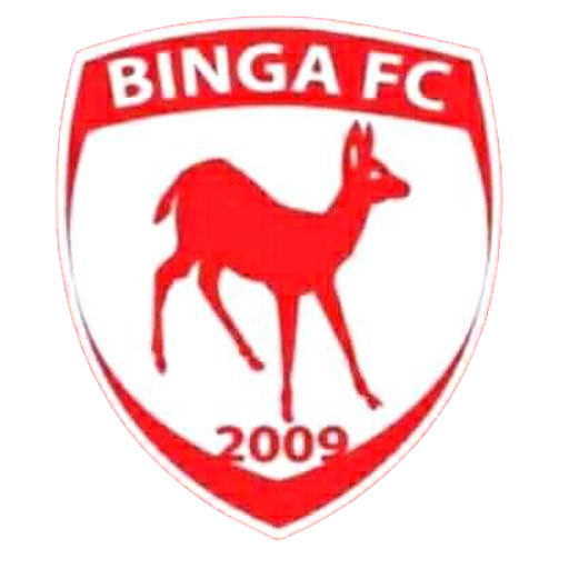 Binga badge