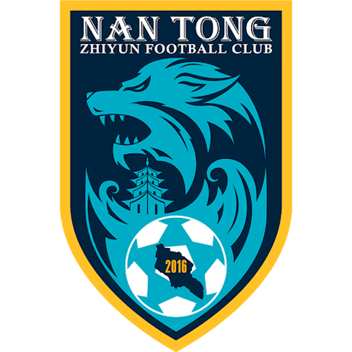 Nantong Zhiyun badge